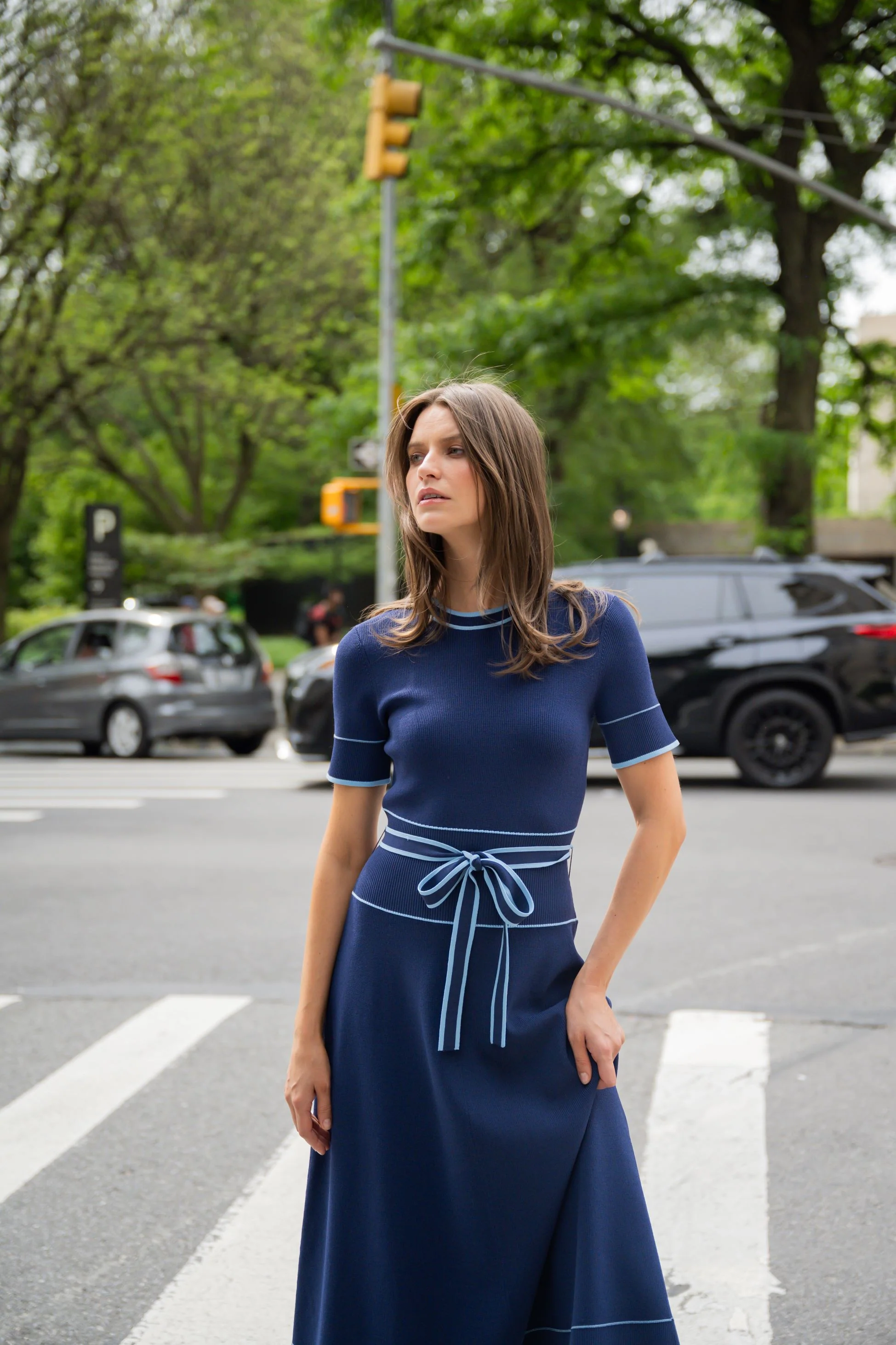 Addison Dress - Image 4